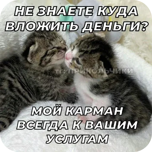 Стикер UELFXOV_by_stikers_du_ark_bot - 1