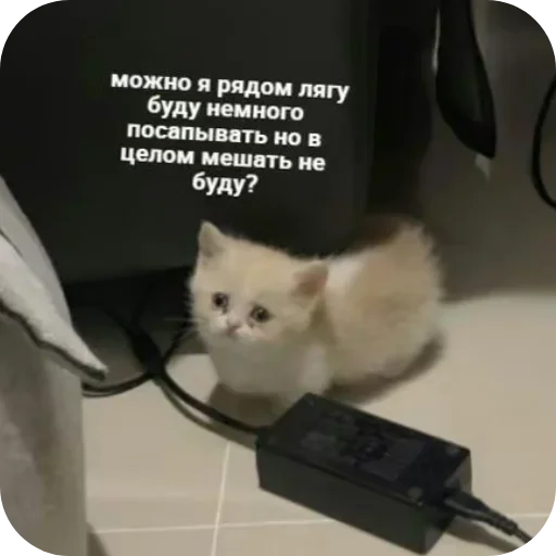 Стикер UELFXOV_by_stikers_du_ark_bot - 1