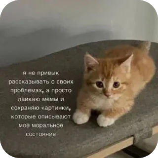 Стикер @sticksbb <— больше стиков💓💘💞 - 8