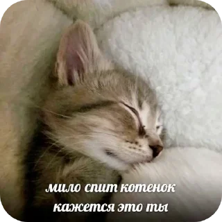 Стикер @sticksbb <— больше стиков💓💘💞 - 1