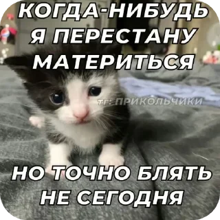 Стикер @sticksbb <— больше стиков💓💘💞 - 9