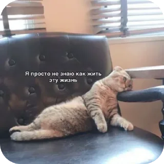 Стикер @sticksbb <— больше стиков💓💘💞 - 0