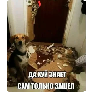 Стикер @sticksbb <— больше стиков💓💘💞 - 6