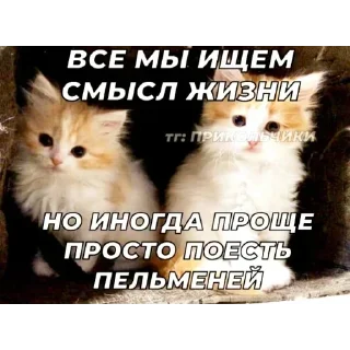 Стикер @sticksbb <— больше стиков💓💘💞 - 7