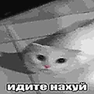 Sticker Больше стикеров 👉🏻 @stickertg4 - 1