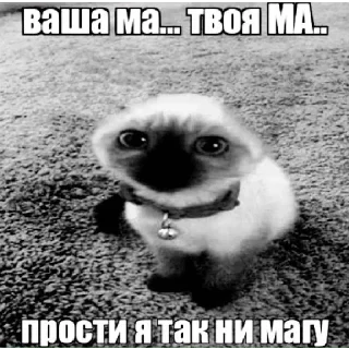 Sticker Больше стикеров 👉🏻 @stickertg4 - 8