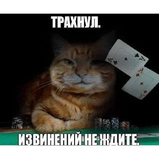 Sticker Больше стикеров 👉🏻 @stickertg4 - 6