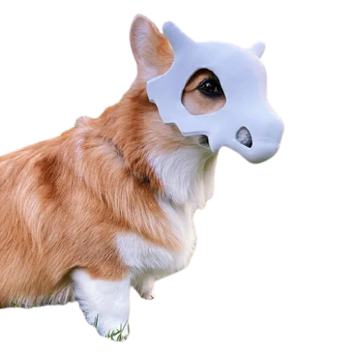 животное млекопитающее домашнее животное