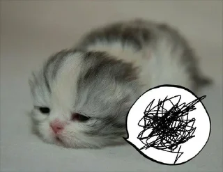 Sticker @sticksbb 🩷 <- канал со стиками - 8