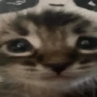 Sticker Больше стикеров 👉🏻 @stickertg4 - 4