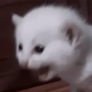 Sticker Больше стикеров 👉🏻 @stickertg4 - 6