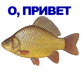 Sticker Больше стиков тут: @stikery4 - 5
