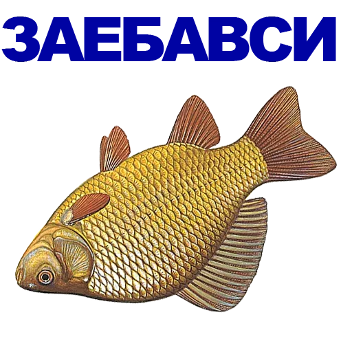 Sticker UKDOEYOVUK_by_stikeri_stikeri_bot - 1