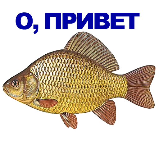 Sticker UKDOEYOVUK_by_stikeri_stikeri_bot - 1