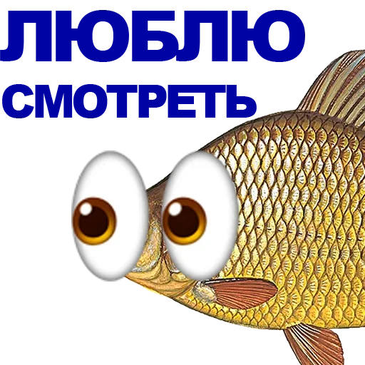Sticker UKDOEYOVUK_by_stikeri_stikeri_bot - 1