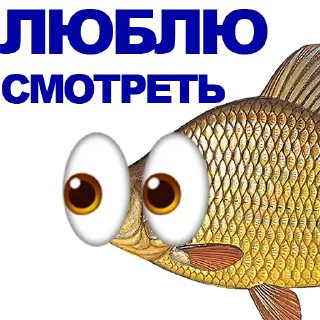 Sticker Больше стиков тут: @stikery4 - 4