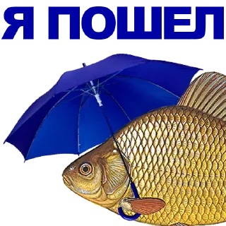 Sticker Больше стиков тут: @stikery4 - 9