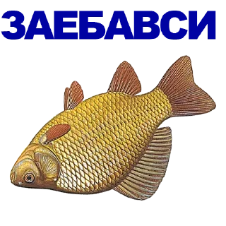 Sticker Больше стиков тут: @stikery4 - 8