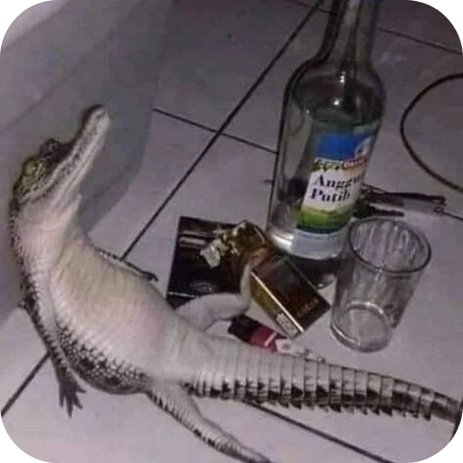 UKRAINIANS ARE WHORES - 