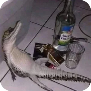 Sticker UKRAINIANS ARE WHORES - 8