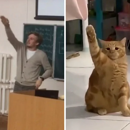 Стикер ULSTU_memes - 1