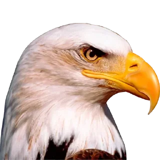 Sticker Больше стиков тут: @stikeryk - 3