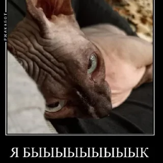 Sticker У мужлан нет прав - 1