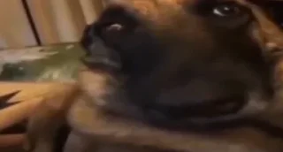 Стикер Больше стикеров: @sticerru - 5