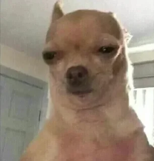 Стикер Больше стикеров: @sticerru - 9