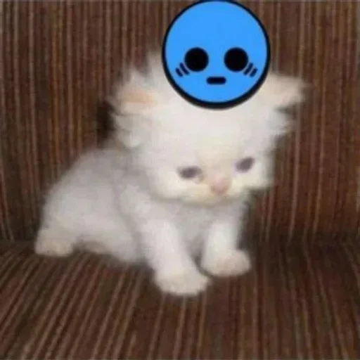 Sticker UPvYJkcRvg_by_Sticker363728bot - 1