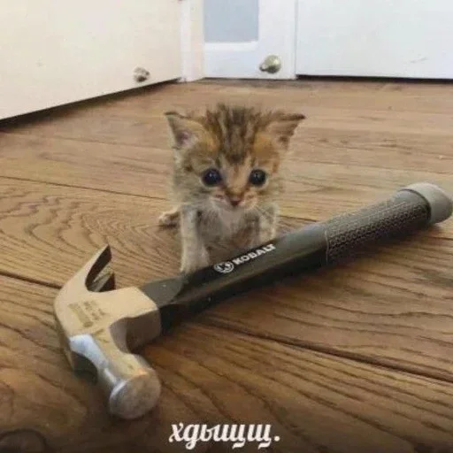 Sticker UPvYJkcRvg_by_Sticker363728bot - 1