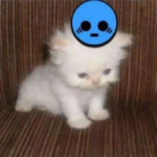 Стикер @stickeri_tg 💋<-- стикеры тут - 8