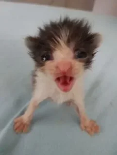 Стикер @stickeri_tg 💋<-- стикеры тут - 9