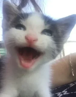 Стикер @stickeri_tg 💋<-- стикеры тут - 4