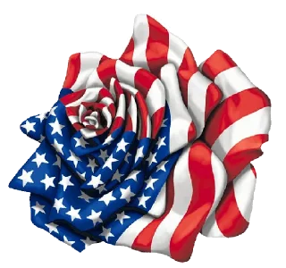 Sticker Usa - 5