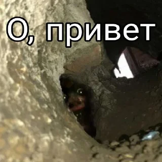 Стикер Больше стиков тут: @stikery4 - 10