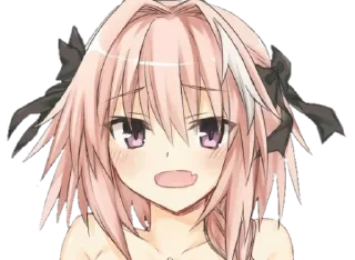 Sticker Astolfo makes it better @anime_srickerr - 5