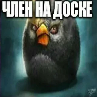 Sticker Больше стикеров 👉🏻 @stickertg4 - 4