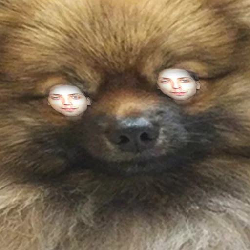 Sticker UdachiAdrian - 1