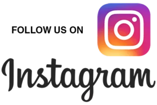 Sticker UdemyKing - 1