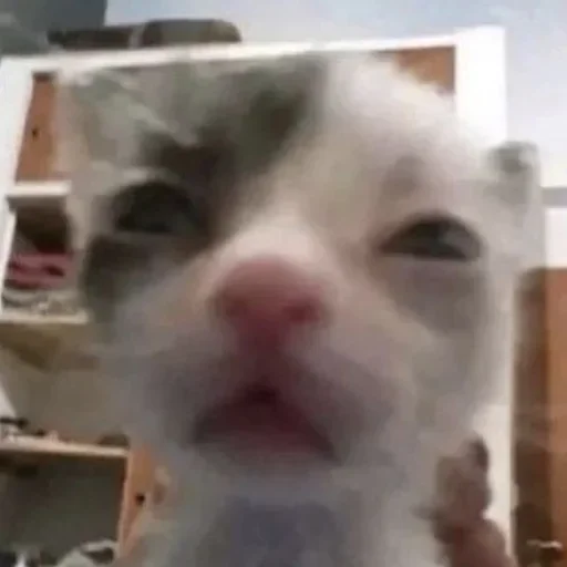 Sticker UeVIJON_by_achestickbot - 1