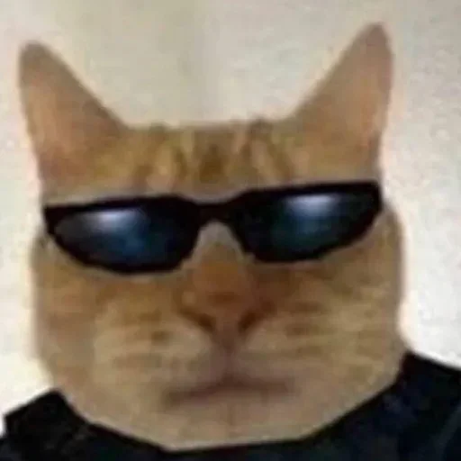 Sticker UeVIJON_by_achestickbot - 1