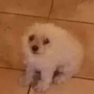 Sticker Больше стиков тут: @stikery4 - 3