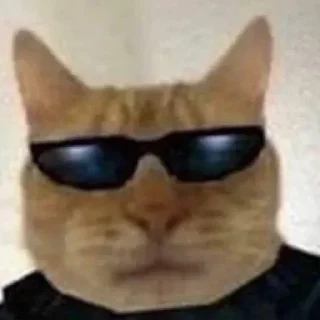 Sticker Больше стиков тут: @stikery4 - 1