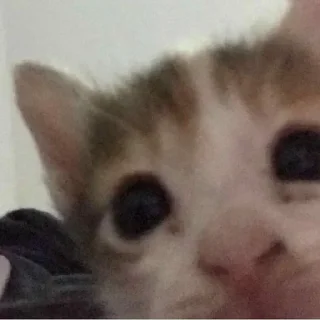 Sticker Больше стиков тут: @stikery4 - 7