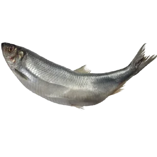 Sticker Больше стиков тут: @stikery4 - 10