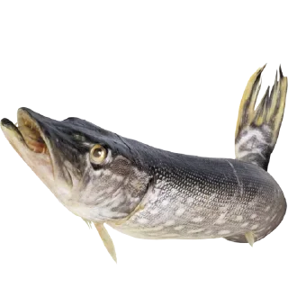 Sticker Больше стиков тут: @stikery4 - 9