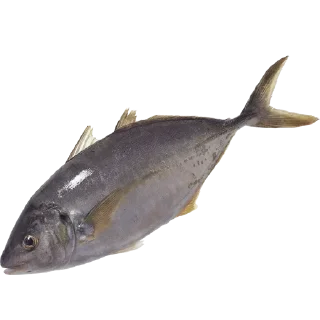 Sticker Больше стиков тут: @stikery4 - 4