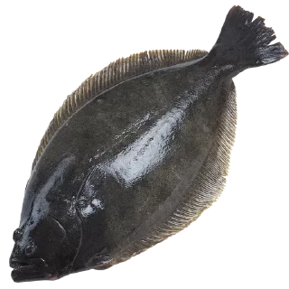 Sticker Больше стиков тут: @stikery4 - 11