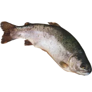 Sticker Больше стиков тут: @stikery4 - 7